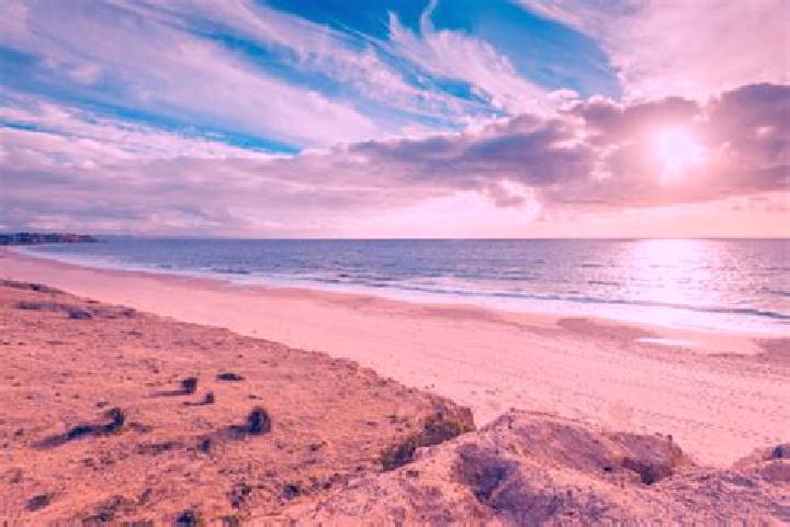 Willow, 28 — Escort in O Sullivan Beach, Australia
