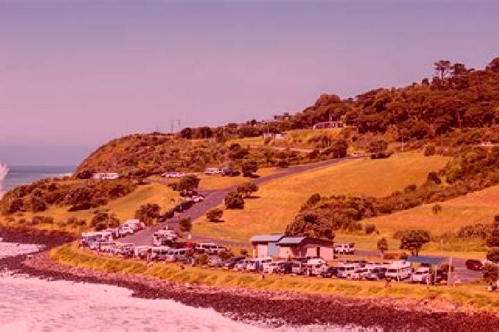 Willow, 28 — Escort in Raglan, New Zealand