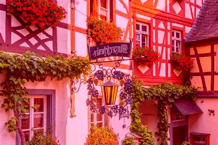 Willow, 28 — Escort in Rummelsheim, Germany
