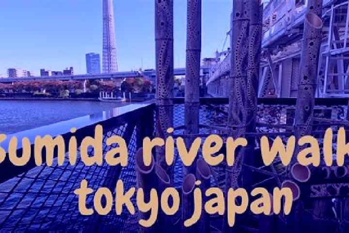 Willow, 28 — Escort in Sumida, Japan