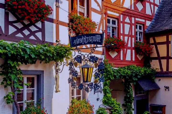 Willow, 29 — Escort in Bremsnitz, Germany