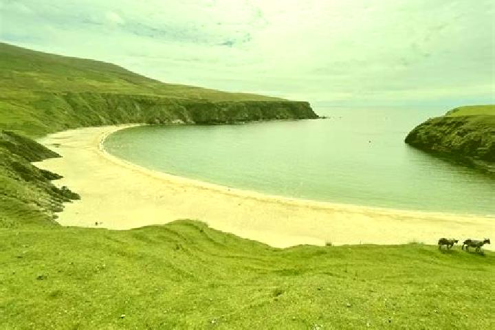 Willow, 29 — Escort in Dooagh, Ireland