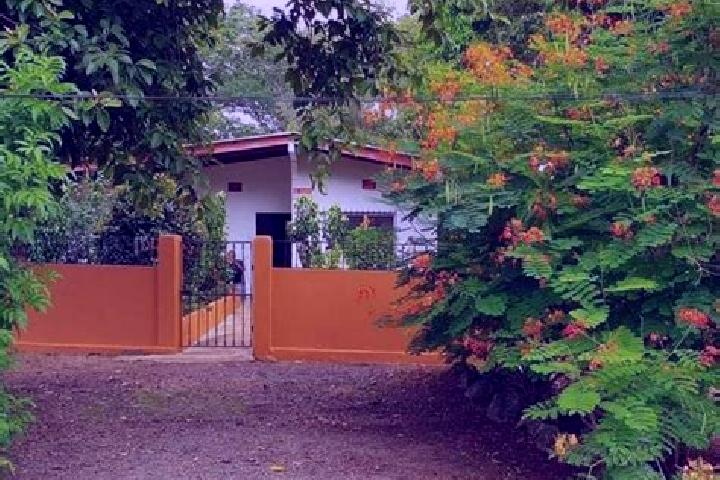 Willow, 29 — Escort in El Roble, Panama
