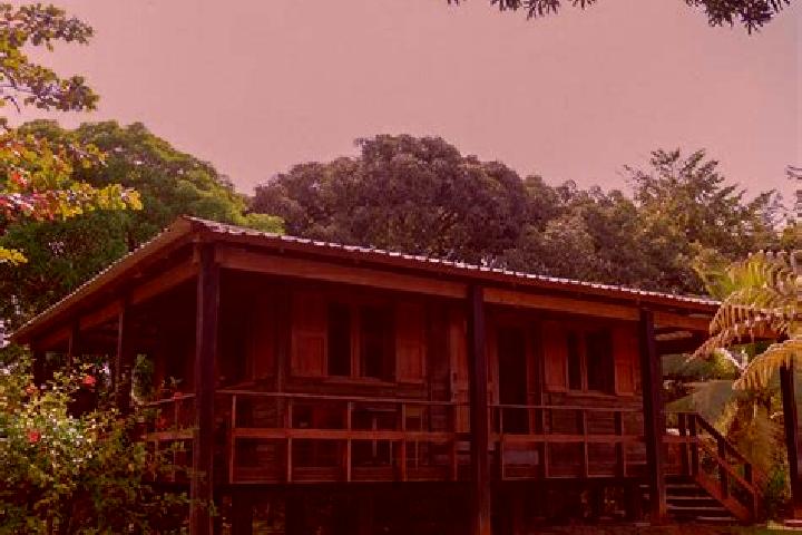 Willow, 29 — Escort in Kukra Hill, Nicaragua