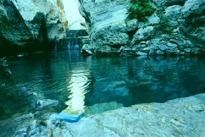 Willow, 29 — Escort in Los Manantiales (El Rio Chiquito), Mexico