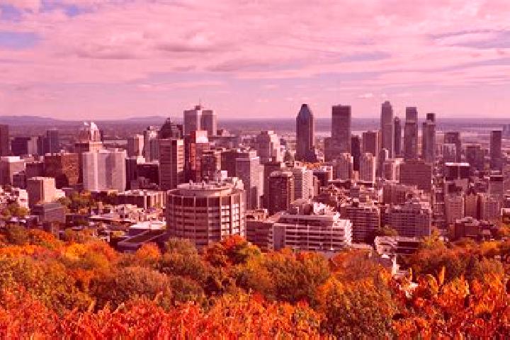 Willow, 29 — Escort in Mont-Royal, Canada