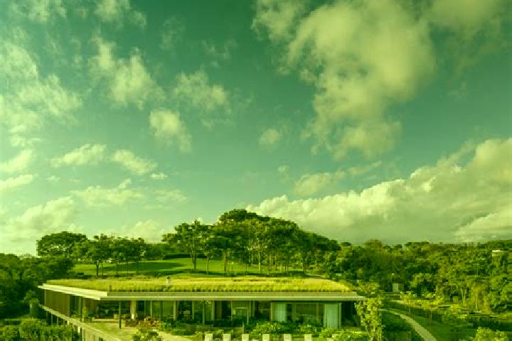 Willow, 29 — Escort in Porto Feliz, Brazil