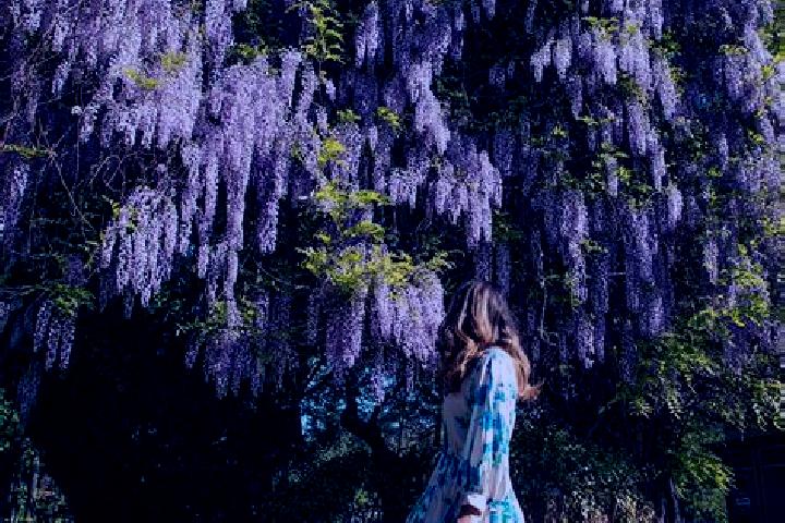 Willow, 29 — Escort in Schitu Scoicesti, Romania