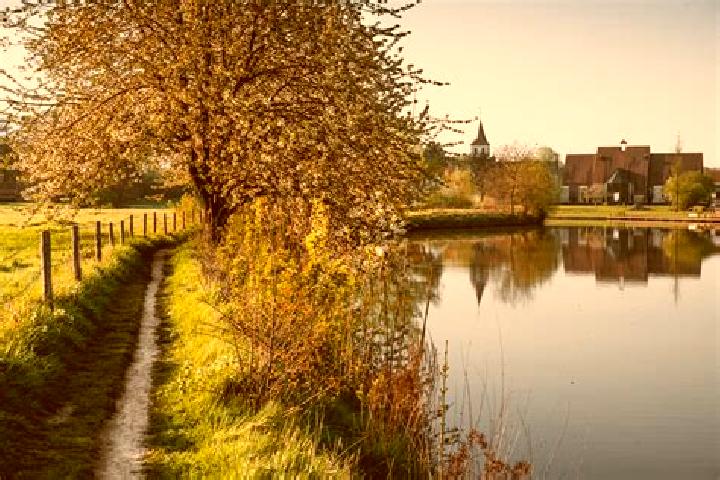 Willow, 29 — Escort in Sint-Maria-Latem, Belgium