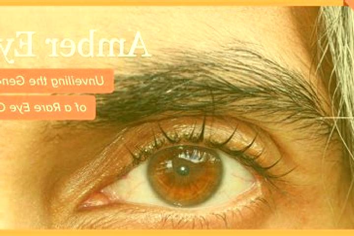 Willow, 30, a black amber-eyed middle eastern companion based in A Ramallosa. Offering Girlfriend Experience, Travel Companion, Domination. Available for inc...