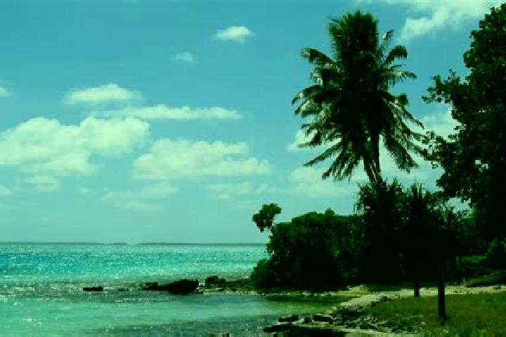 Willow, 30 — Escort in Betio Village, Kiribati
