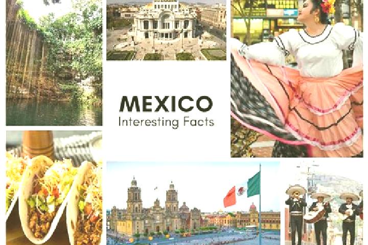 Willow, 30 — Escort in Cacalutla, Mexico
