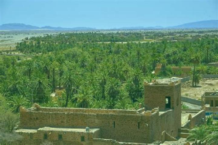 Willow, 30 — Escort in Foum Jam a, Morocco