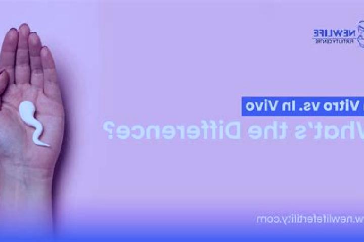 Willow, 30 — Escort in Nitakloang, Indonesia