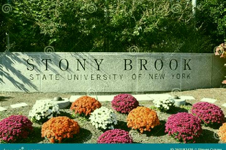 Willow, 30 — Escort in Stony Brook, United States