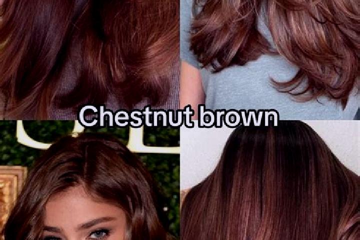 Willow, 31, a chestnut hazel-eyed latina companion based in Detmerode. Offering Deep French Kissing, Massage, GFE. Available for incall and outcall, overnigh...