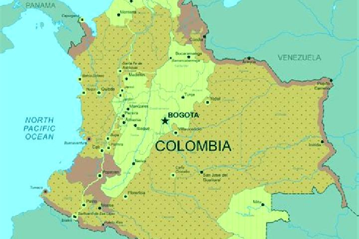 Willow, 31 — Escort in Animas, Colombia
