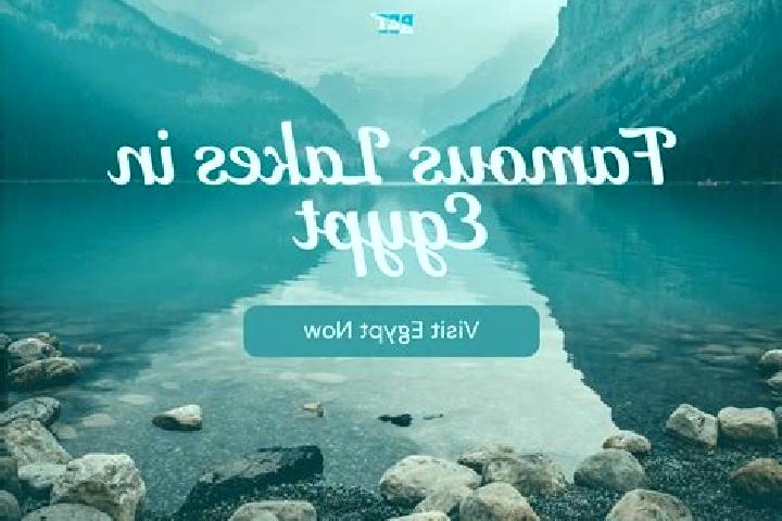 Willow, 31 — Escort in As Siba iyah, Egypt