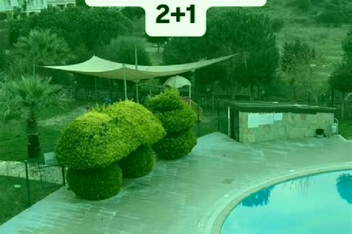 Willow, 31 — Escort in Bogazici, Turkey