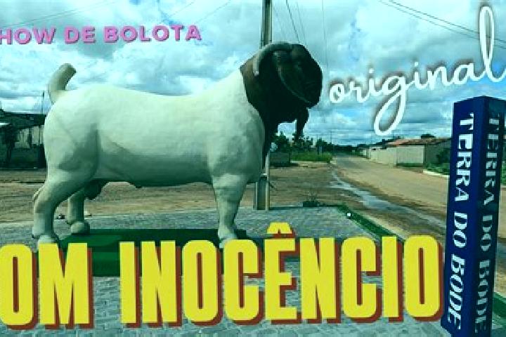 Willow, 31 — Escort in Dom Inocencio, Brazil