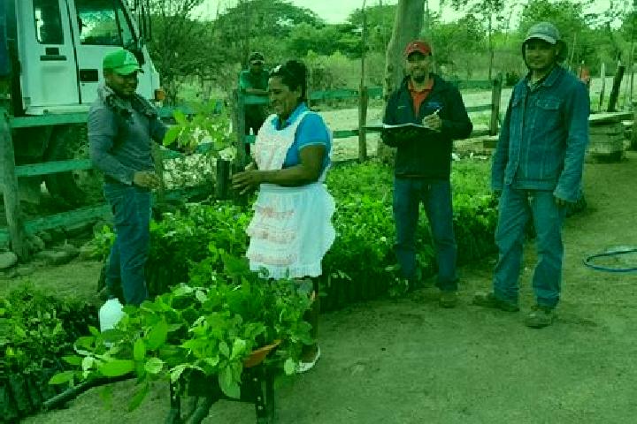 Willow, 31 — Escort in El Jicaral, Nicaragua