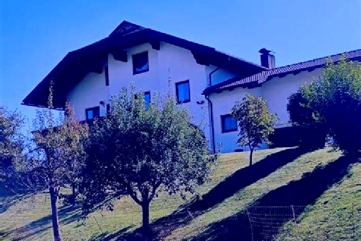 Willow, 31 — Escort in Feistritz an der Gail, Austria