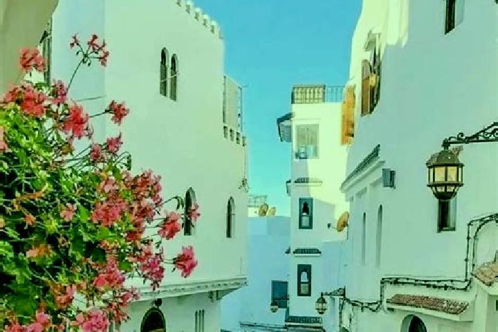 Willow, 31 — Escort in Guisser, Morocco