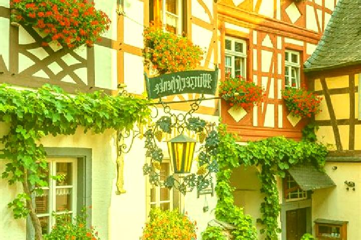 Willow, 31 — Escort in Heupelzen, Germany