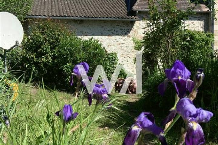 Willow, 31 — Escort in Linards, France