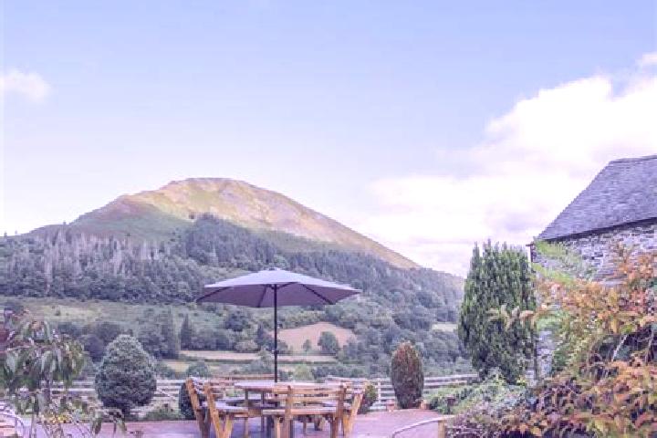 Willow, 31 — Escort in Llangynog, United Kingdom