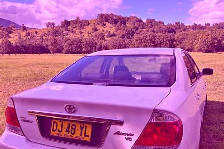 Willow, 31 — Escort in Modanville, Australia