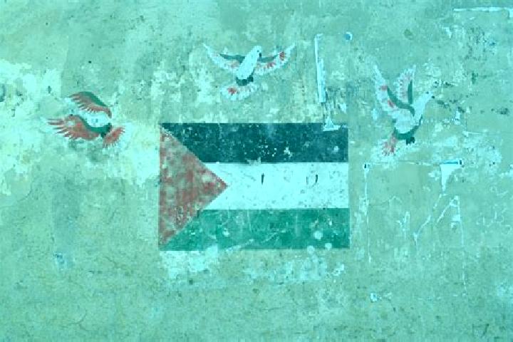 Willow, 31 — Escort in Nazlat ash Shaykh Zayd, Palestine