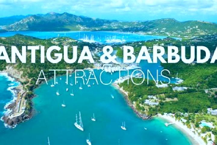 Willow, 31 — Escort in Parham, Antigua and Barbuda