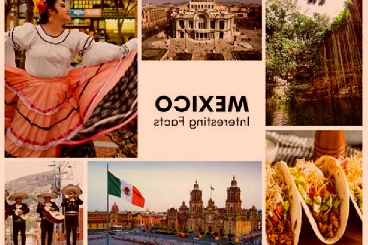 Willow, 31 — Escort in Querobabi, Mexico