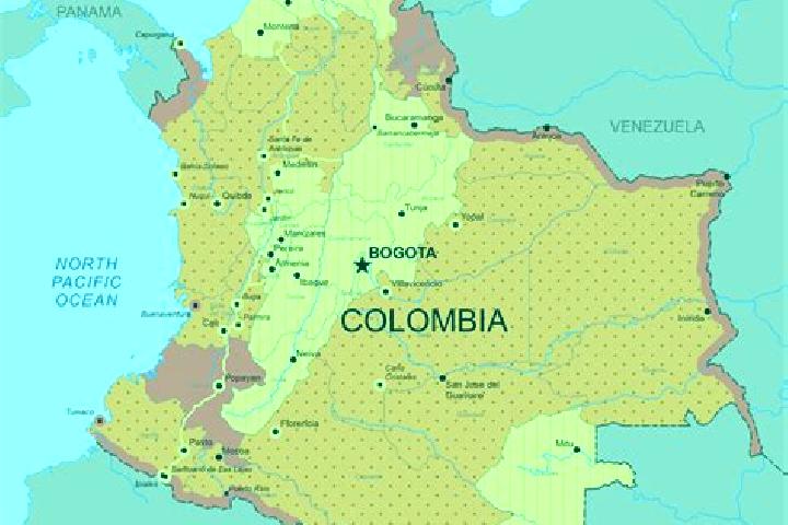 Willow, 31 — Escort in Quimbaya, Colombia