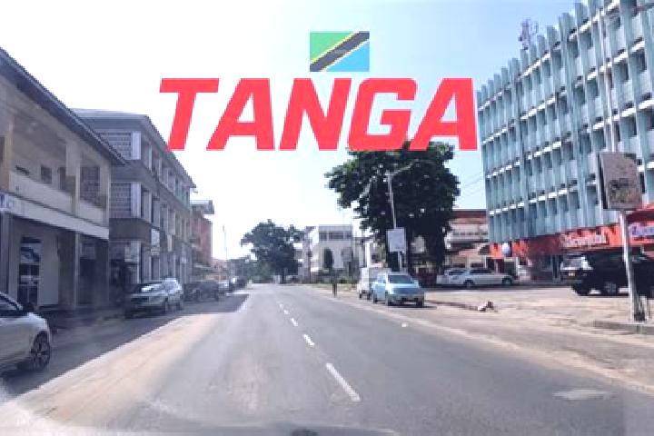 Willow, 31 — Escort in Tanga, Tanzania