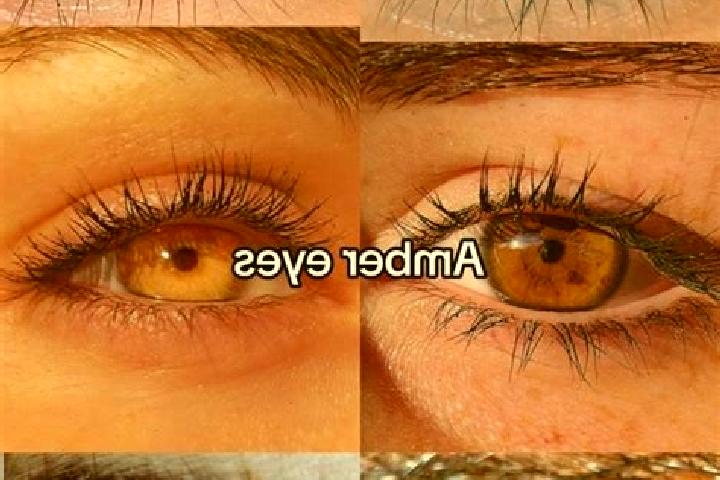 Willow, 32, a chestnut amber-eyed middle eastern companion based in Rambala. Offering Erotic Massage, Domination, Dinner Date. Available for incall and outca...