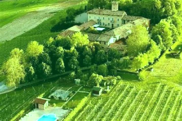 Willow, 32 — Escort in Alfiano Natta, Italy
