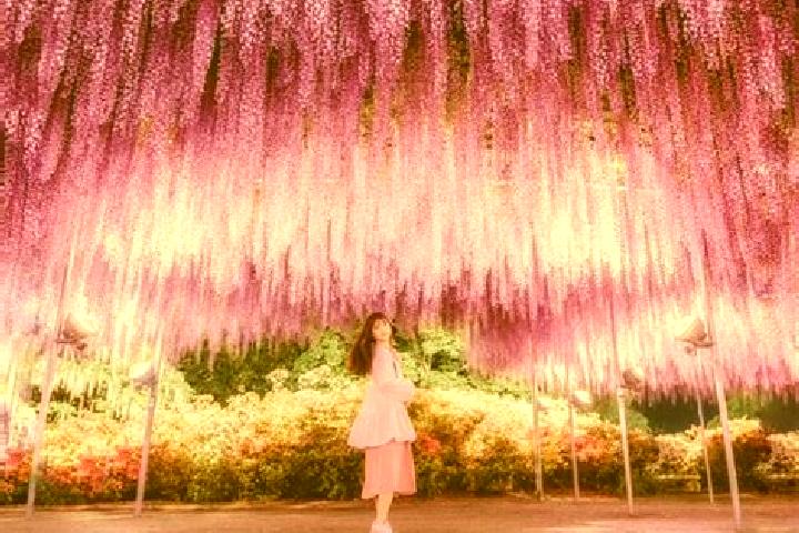 Willow, 32 — Escort in Ashikaga, Japan
