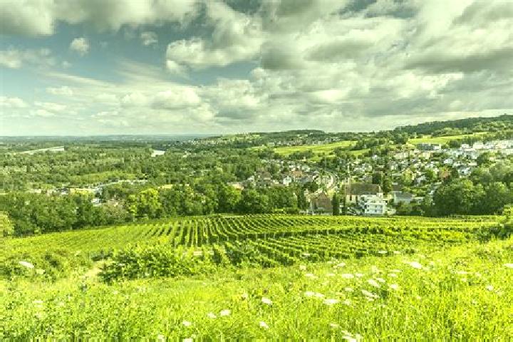 Willow, 32 — Escort in Bellingen, Germany