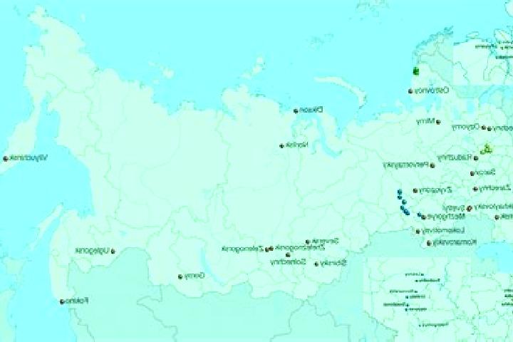 Willow, 32 — Escort in Borskoye, Russia