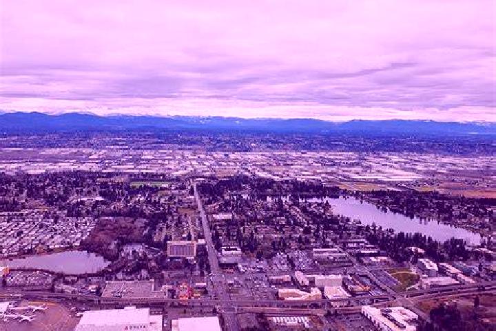 Willow, 32 — Escort in Burien, United States