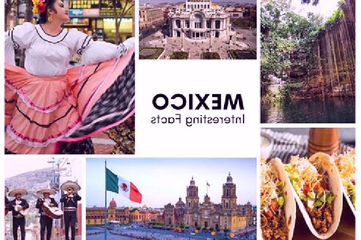 Willow, 32 — Escort in Cotlaixco, Mexico