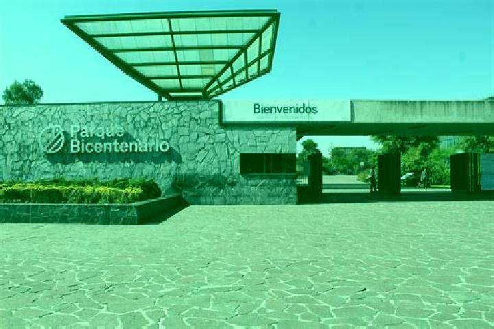 Willow, 32 — Escort in El Centenario, Mexico