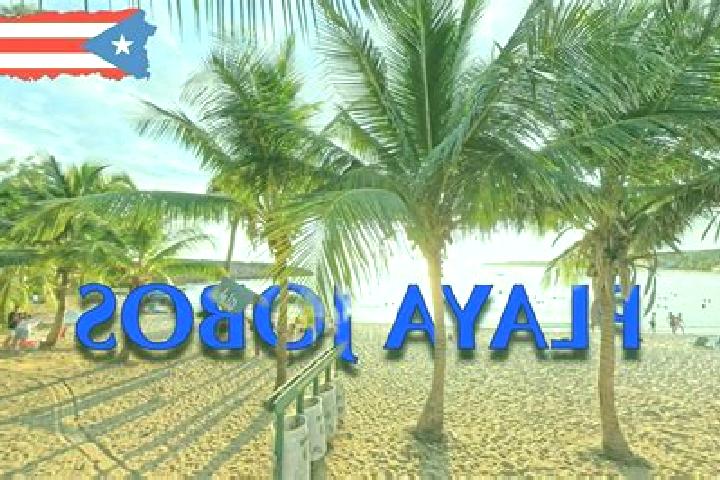 Willow, 32 — Escort in Jobos, Puerto Rico