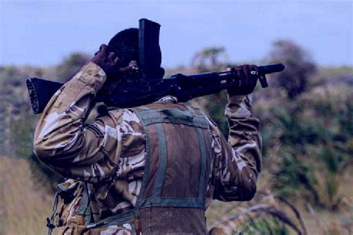 Willow, 32 — Escort in Kipini, Kenya