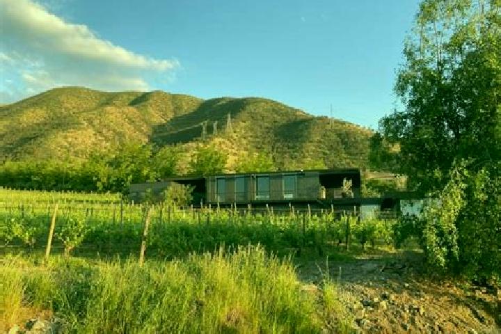 Willow, 32 — Escort in La Vina, Mexico