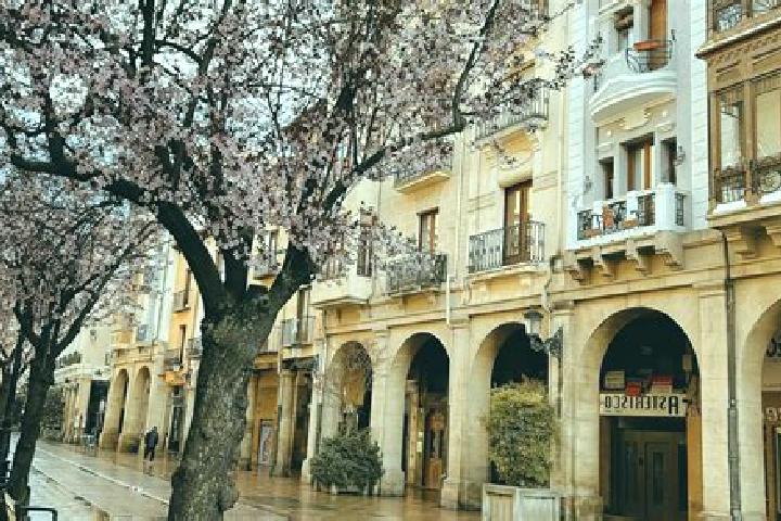 Willow, 32 — Escort in Logrono, Spain