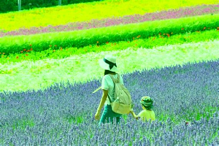 Willow, 32 — Escort in Naka-furano, Japan