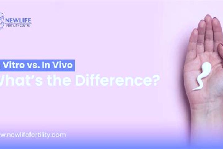 Willow, 32 — Escort in Odranci, Slovenia